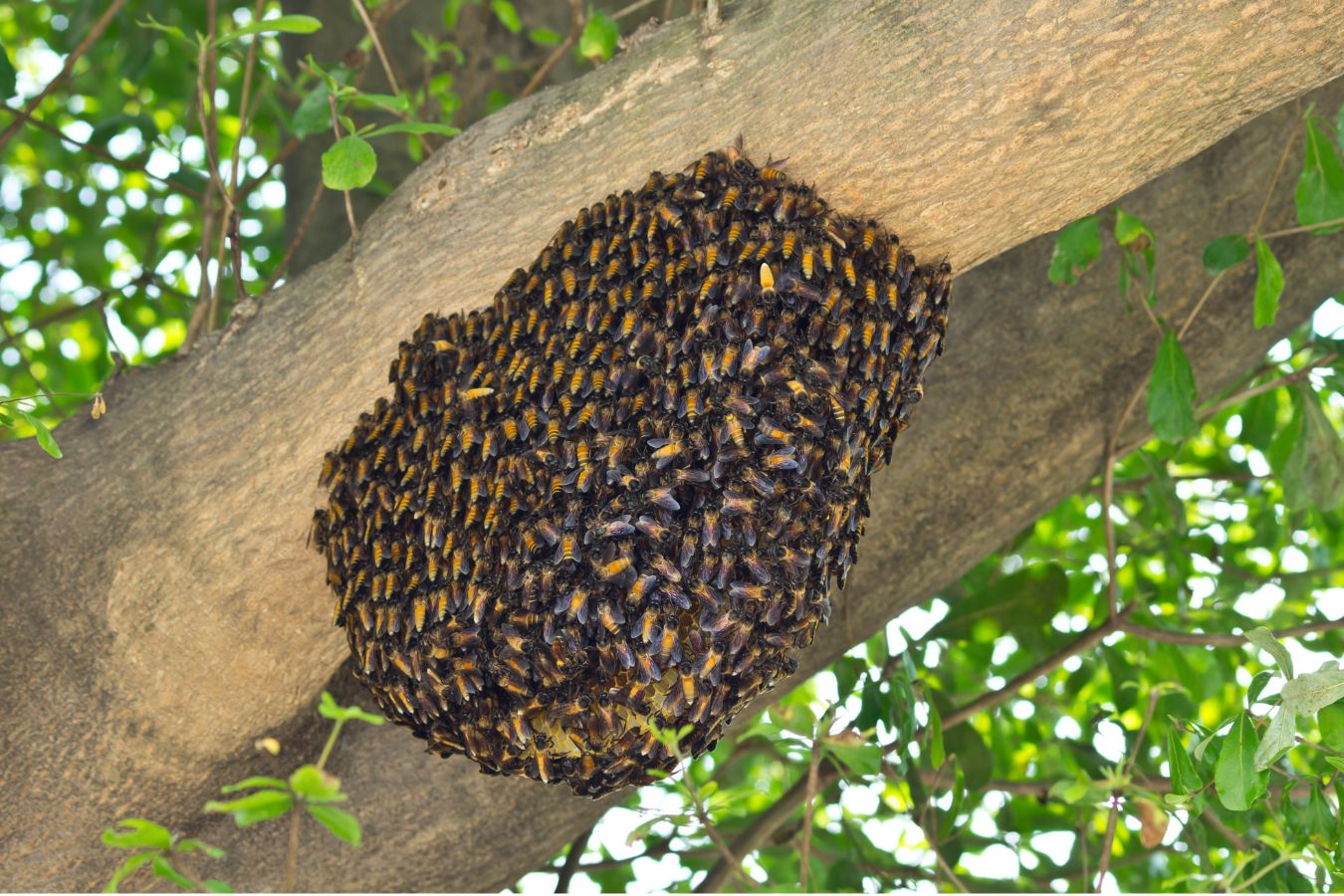 Structural sealing service in West Covina